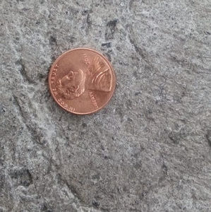 Meet your Posher, Luiz